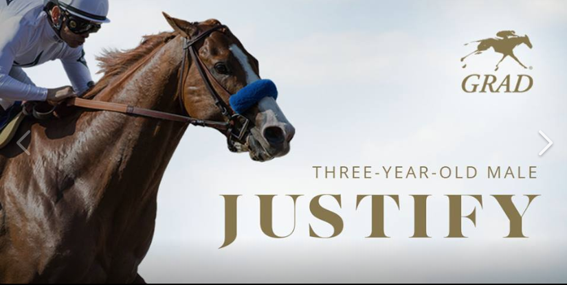 #Justify è cavallo dell’anno 2018 (vedi le votazioni).