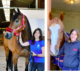 Sara e Camilla ecco come ricondizionano i cavalli da corsa per gli sport olimpici.